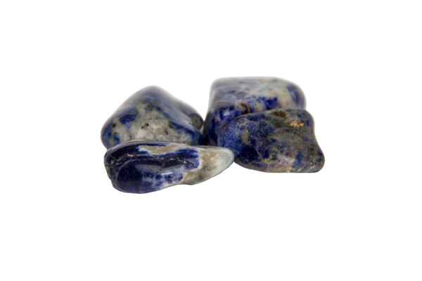 Spotted Sodalite Tumblestone